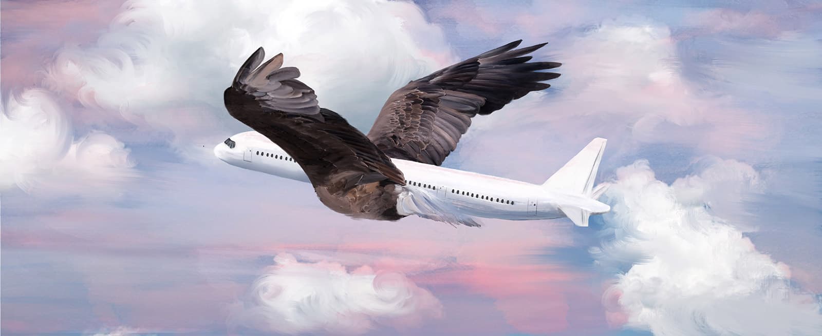 Etihad Airways